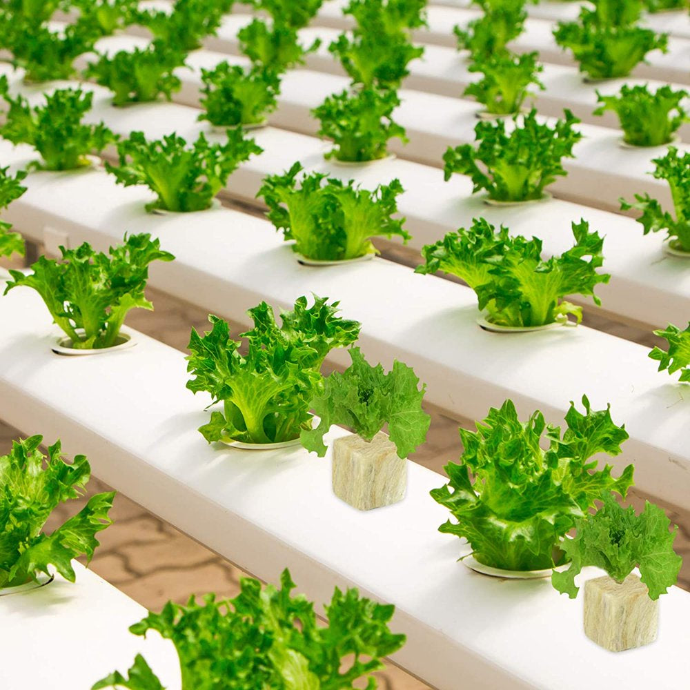 1 Inch 4 Sheets Rockwool Cubes 200 Cubes Starter Plugs for Soilless Cultivation Seedlings Cuttings Clone Plants Hydroponics Germination Start