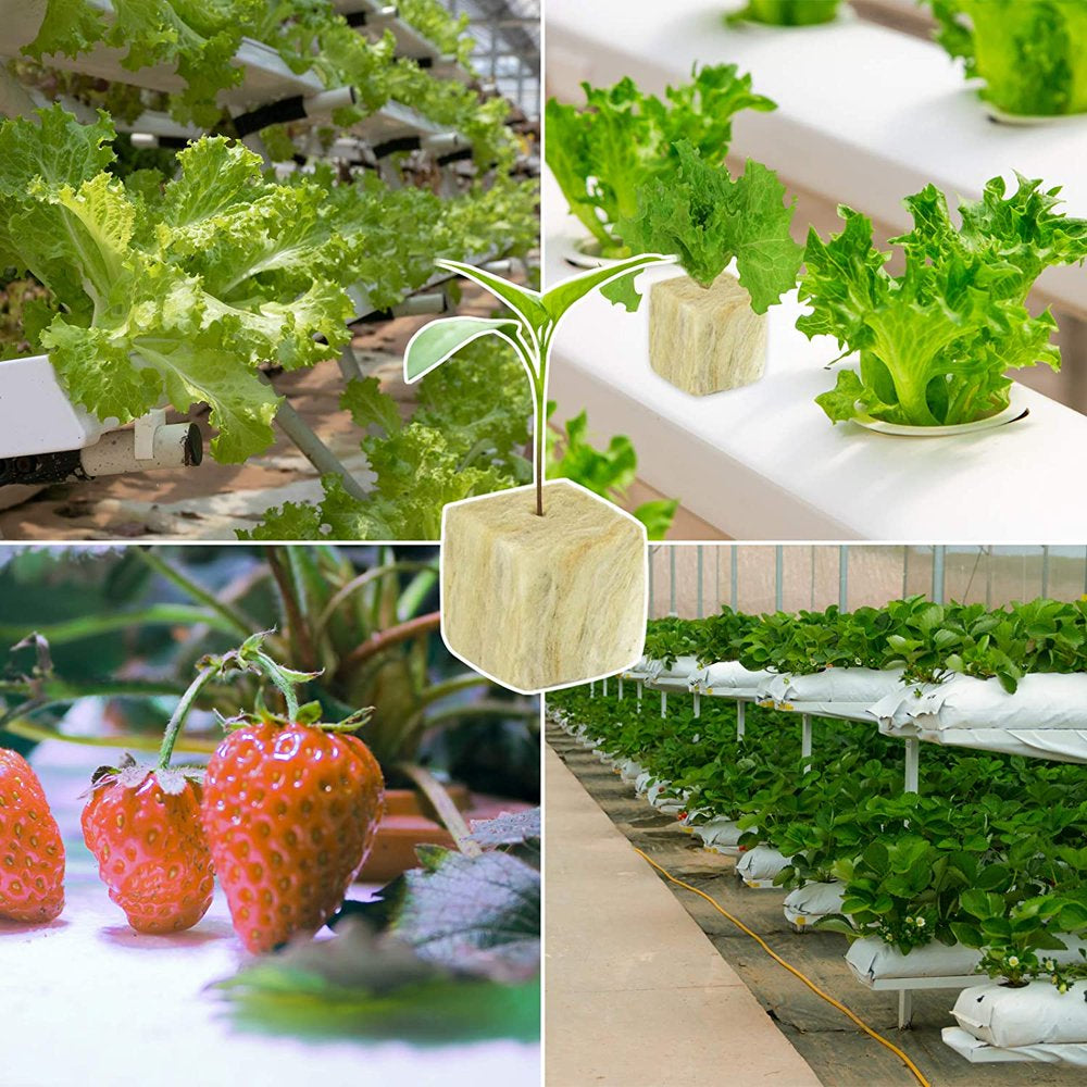 1 Inch 4 Sheets Rockwool Cubes 200 Cubes Starter Plugs for Soilless Cultivation Seedlings Cuttings Clone Plants Hydroponics Germination Start