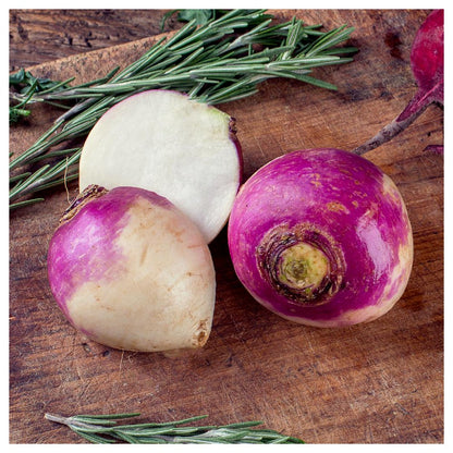 - 500 Purple Top White Globe Turnip Seeds - Gold Vault Jumbo Bulk Seed Packet