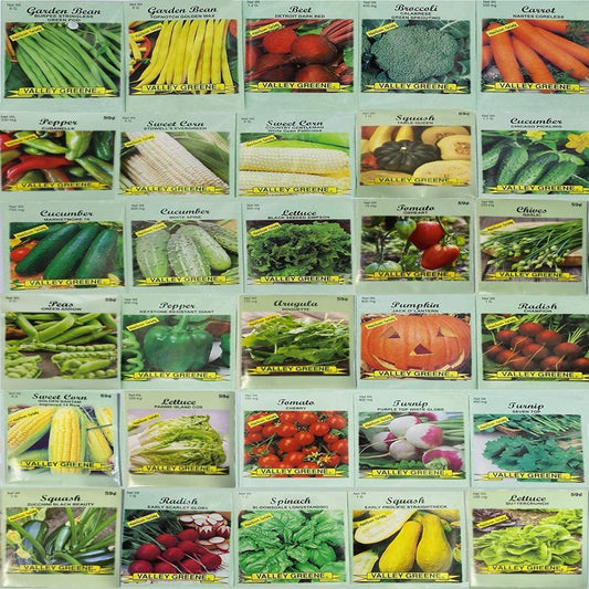 30 Packs of Vegetable Seeds Including 30 Varieties. All Seeds Are Heirloom & Non-Gmo