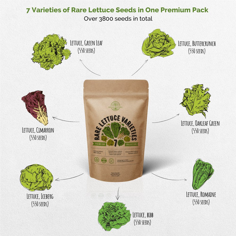 7 Lettuce Seeds Variety Pack - Non-Gmo Heirloom Seeds for Planting Lettuce Hydroponic, Aerogarden, Indoor & Outdoors. 3800+ Seeds: Bibb, Romaine, Iceberg, Green Oakleaf, Red Leaf Lettuce Seeds & More