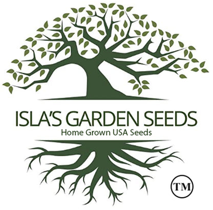 Large American Flag Leek Seeds, 500 Heirloom Seeds per Packet, Non GMO Seeds