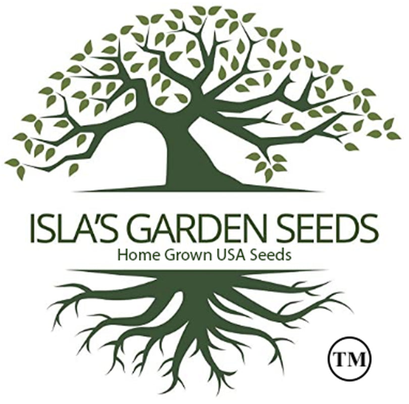 Detroit Dark Red Beet Microgreens Seeds for Planting, 100+ Heirloom Seeds per Packet Non GMO Seeds, Botanical Name Beta Vulgaris, Great Home Garden Gift