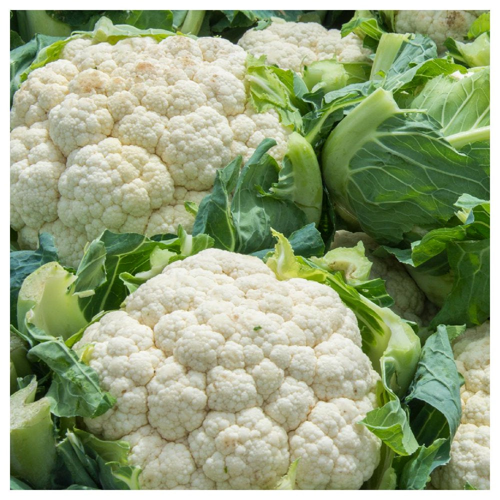 - 500 Snowball Self Blanching Cauliflower Seeds - Gold Vault Jumbo Bulk Seed Packet