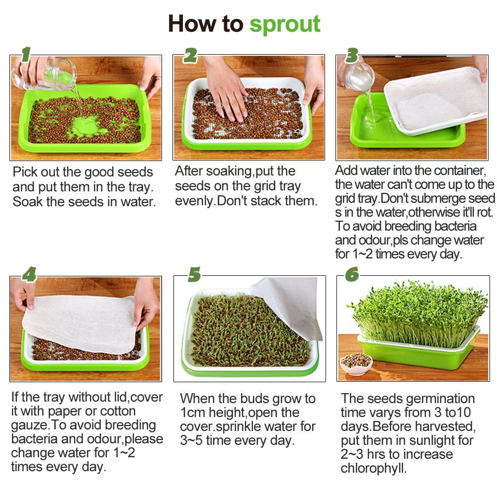 Double Layer Bud Sprouts Bean Seed Hydroponics Wheat Grass Implant Nursery Tray Pot Soil-Free Wheatgrass Bean Sprouts Microgreens Growing Kit