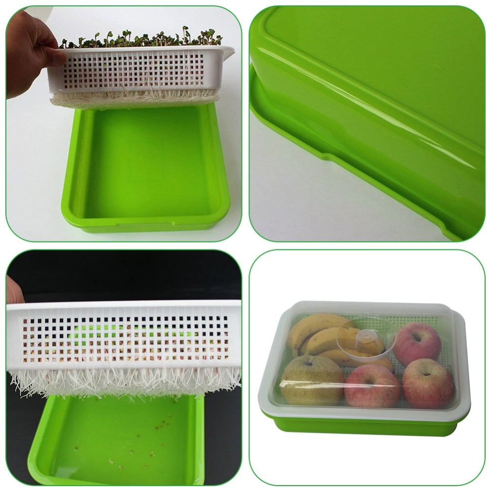 Double Layer Bud Sprouts Bean Seed Hydroponics Wheat Grass Implant Nursery Tray Pot Soil-Free Wheatgrass Bean Sprouts Microgreens Growing Kit