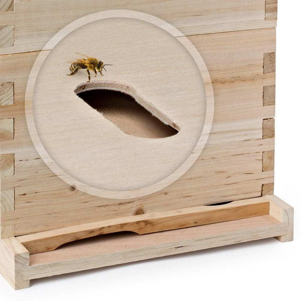 Beehive 20 Frame Complete Box Kit (10 Deep and 10 Medium) with Metal Roof for Langstroth Beekeeping