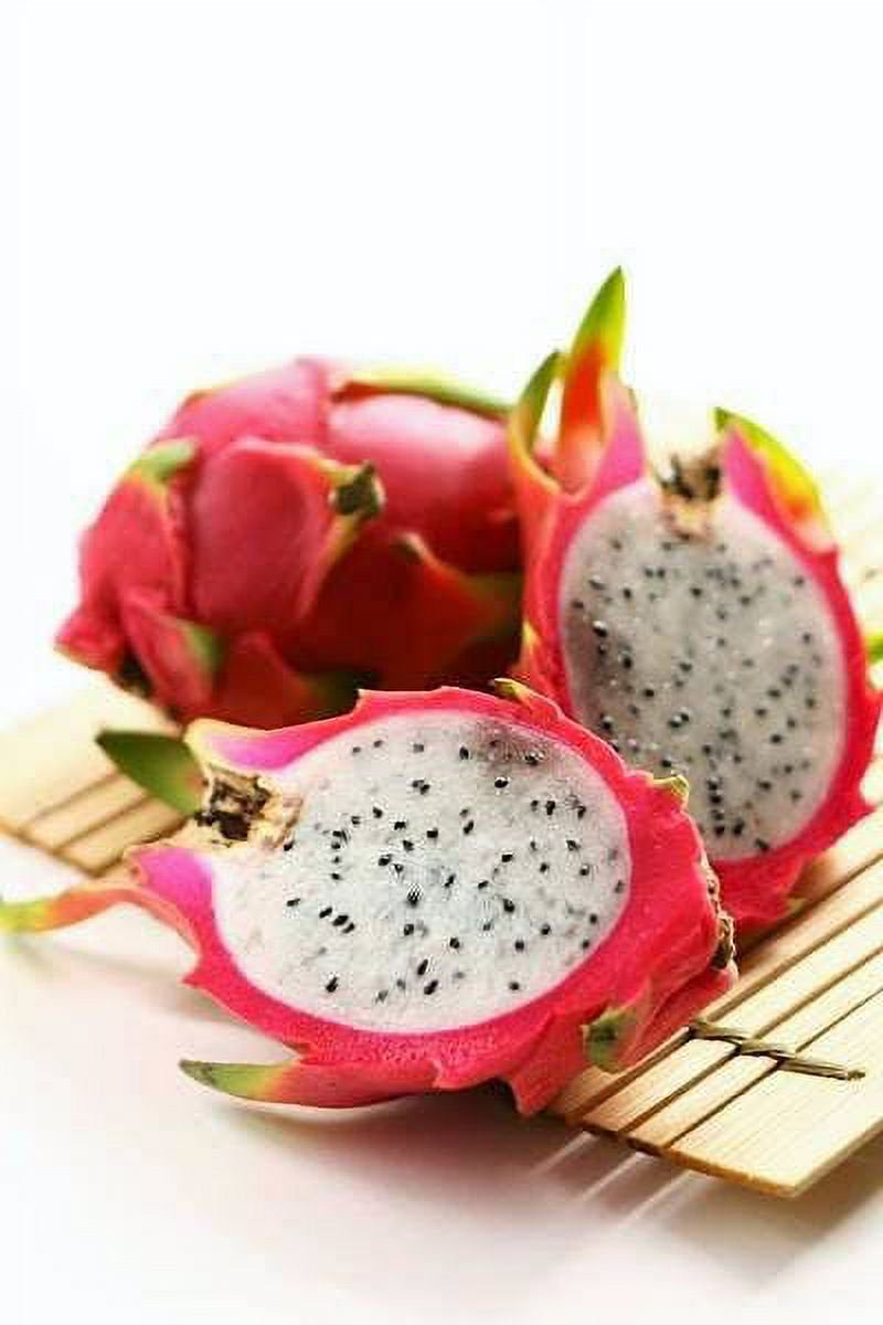 20 *Seeds WHITE DRAGON FRUIT (Pitaya / Pitahaya / Strawberry Pear) Hylocereus Undatus Cactus Seeds