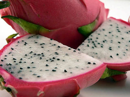 20 *Seeds WHITE DRAGON FRUIT (Pitaya / Pitahaya / Strawberry Pear) Hylocereus Undatus Cactus Seeds