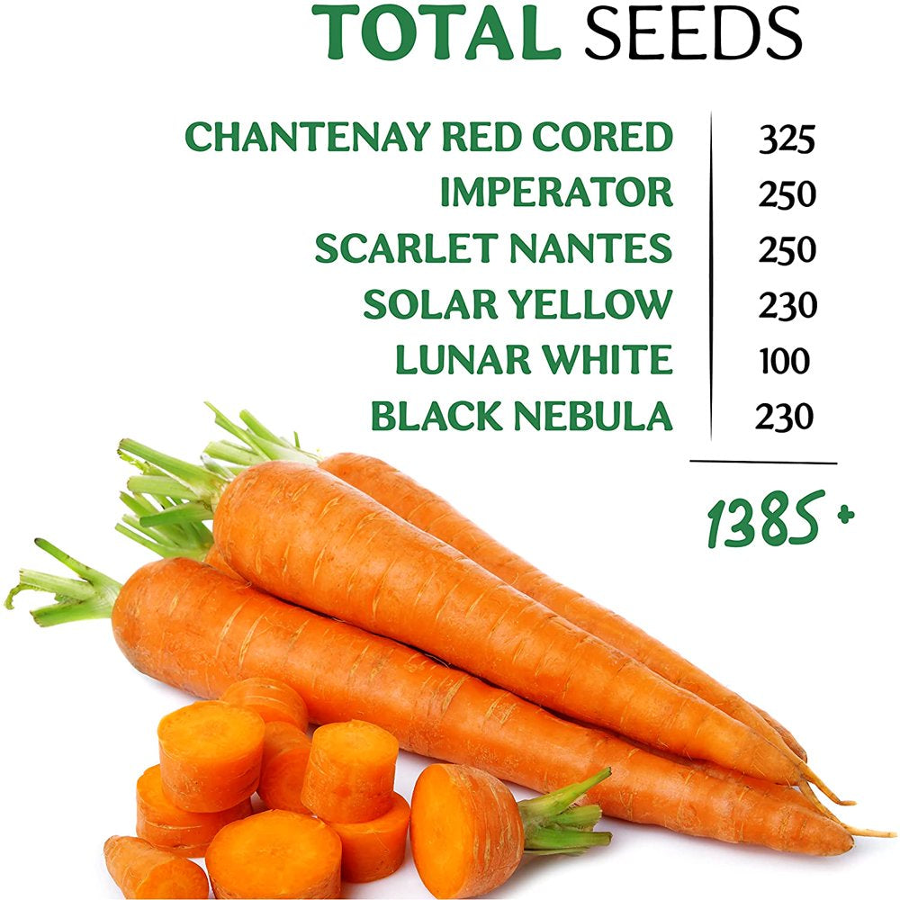 6 Carrot Seeds Variety Pack - 1385+ Non GMO, Heirloom Seeds for Indoor Outdoor Hydroponic Home Garden - Chantenay Red Cored, Imperator, Scarlet Nantes, Solar Yellow & More