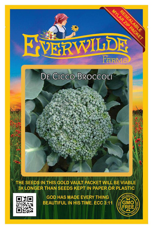 - 500 De Cicco Broccoli Seeds - Gold Vault Jumbo Bulk Seed Packet