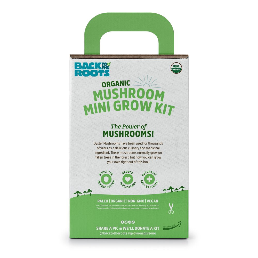 Organic Pearl Oyster Mushroom Mini Grow Kit, for Indoor Gardening and Cooking