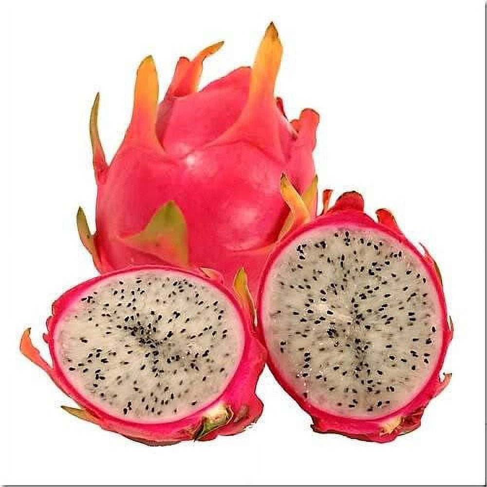 20 *Seeds WHITE DRAGON FRUIT (Pitaya / Pitahaya / Strawberry Pear) Hylocereus Undatus Cactus Seeds