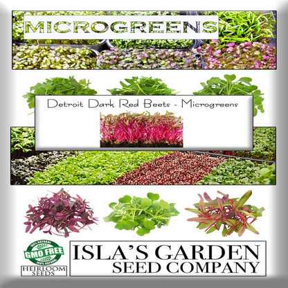 Detroit Dark Red Beet Microgreens Seeds for Planting, 100+ Heirloom Seeds per Packet Non GMO Seeds, Botanical Name Beta Vulgaris, Great Home Garden Gift