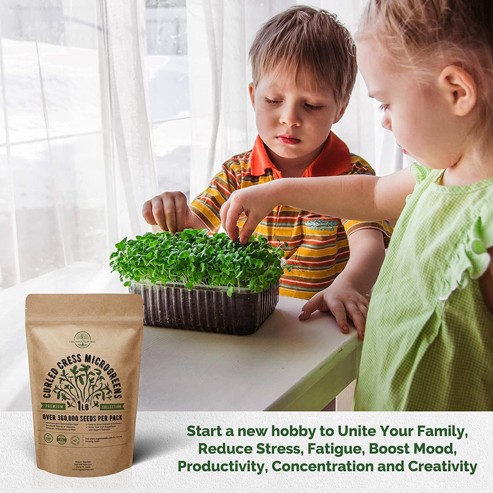 Cress Sprouting & Microgreens Seeds - Non-Gmo, Heirloom Sprout Seeds Kit in Bulk 1Lb Resealable Bag for Planting & Growing Microgreens in Soil, Coconut Coir, Garden, Aerogarden & Hydroponic System.