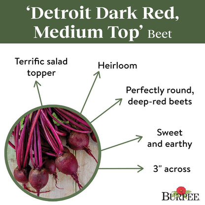 Organic Medium Top Detroit Dark Red Beet Vegetable Seed, 1-Pack