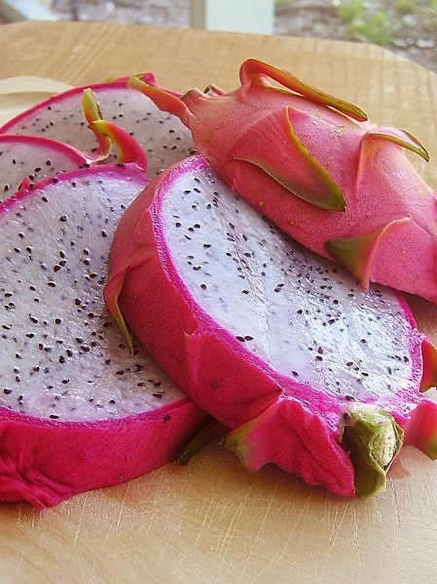 20 *Seeds WHITE DRAGON FRUIT (Pitaya / Pitahaya / Strawberry Pear) Hylocereus Undatus Cactus Seeds