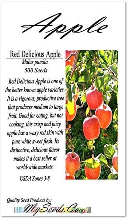 Big Pack - (500) Red Delicious Apple - Malus Pumila Tree Seeds - Very Cold Hardy in Zones 3-8 by Myseeds.Co (Big Pack - Paradise Apple)