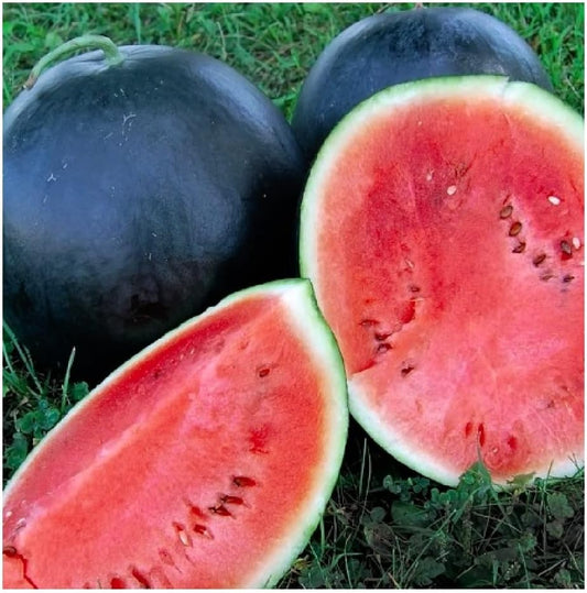 25 Black Diamond Watermelon Seeds | Non-Gmo | Heirloom |  Garden Seeds