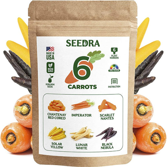 6 Carrot Seeds Variety Pack - 1385+ Non GMO, Heirloom Seeds for Indoor Outdoor Hydroponic Home Garden - Chantenay Red Cored, Imperator, Scarlet Nantes, Solar Yellow & More