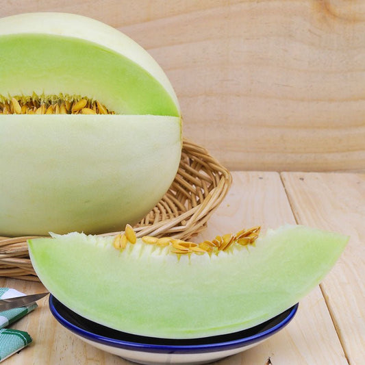 Melon Seeds (Organic) - Honeydew Green - Packet - Vegetable Seeds, Heirloom Seed, Organic Seed Fast Growing, Culinary