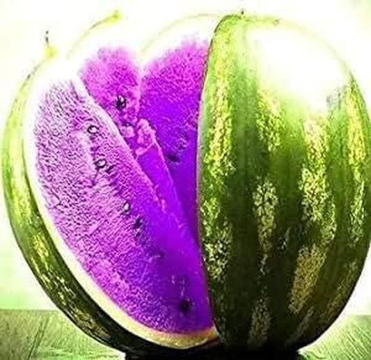 Fresh 100Pcs Watermelon Fruit Vegetable Seeds for Planting Violet