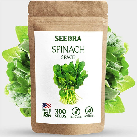 300+ Spinach Seeds for Indoor, Outdoor and Hydroponic Planting, Non GMO Hybrid Seeds for Home Garden - 1 Pack