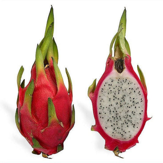 20 *Seeds WHITE DRAGON FRUIT (Pitaya / Pitahaya / Strawberry Pear) Hylocereus Undatus Cactus Seeds