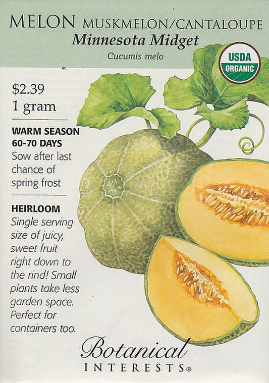 Organic Minnesota Midget Muskmelon/Cantaloupe Seeds - 1 G