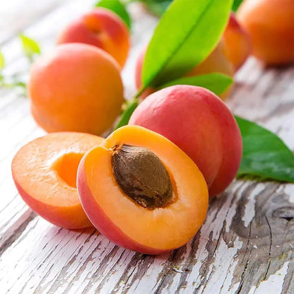 5 Manchurian Apricot (Prunus Mandshurica) Scout Apricot Seeds, Organic Non-Gmo Heirloom Fruit Seeds, Grow Your Own Tasty Fruit Tree in Garden Outdoor