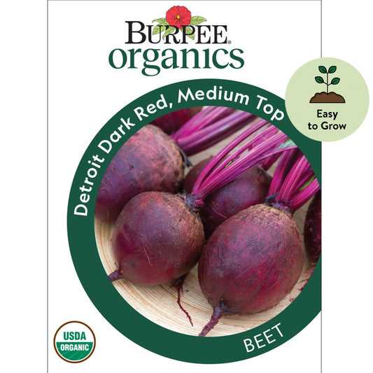 Organic Medium Top Detroit Dark Red Beet Vegetable Seed, 1-Pack